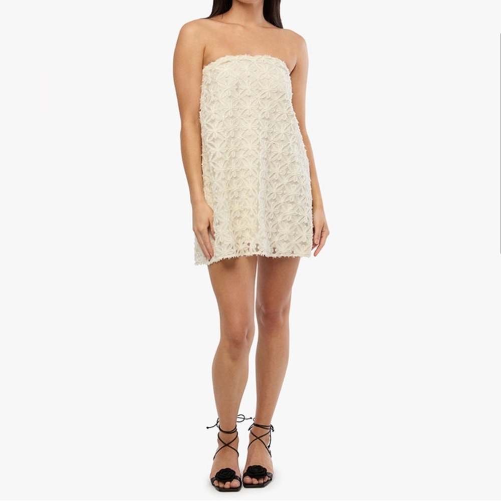 NWT WeWoreWhat A-Line Lace Mini Dress size US6 - Picture 3 of 15